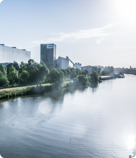 Een industriële fabriek, deels verborgen achter bomen, ligt aan de oever van een brede rivier. Het logo van Agristo is zichtbaar op een van de hoge silo’s. In de verte ligt een vrachtschip aangemeerd. De zon schijnt fel, waardoor lensflare-effecten en een lichte nevel over het water zichtbaar zijn.