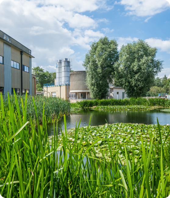 Een groene vijver met waterlelies en riet staat centraal in de afbeelding, omringd door bomen en gras. Op de achtergrond bevinden zich industriële gebouwen en opslagtanks, wat duidt op een fabrieksterrein. De lucht is deels bewolkt met blauwe stukken en witte wolken, wat zorgt voor een helder en natuurlijk contrast.