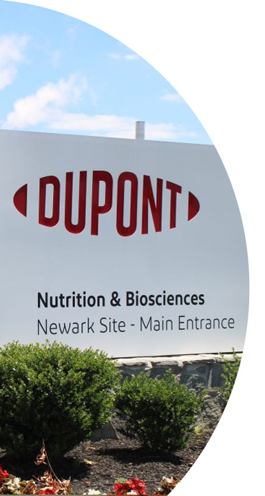 IFF Dupont Bruges